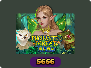 Enchanted Forest